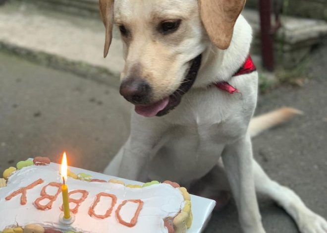 Alone in silence, a forgotten birthday evokes a deep sense of solitude and bittersweet memories.