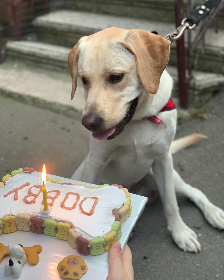 Alone in silence, a forgotten birthday evokes a deep sense of solitude and bittersweet memories.