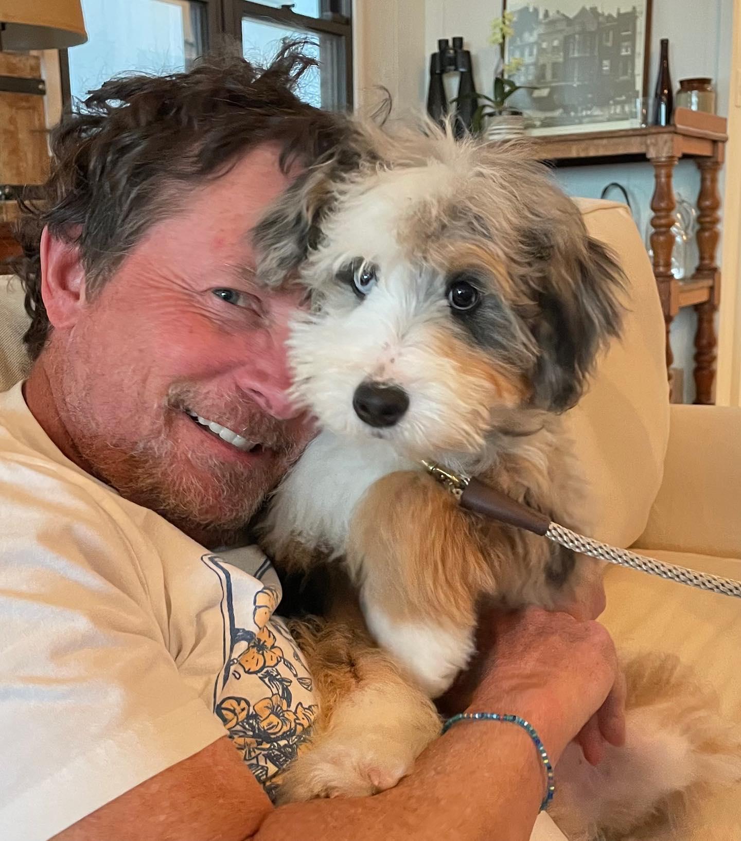 Michael J. Fox Welcomes His Beautiful New Dog, Blue: ‘Welcome to Your Forever Home!