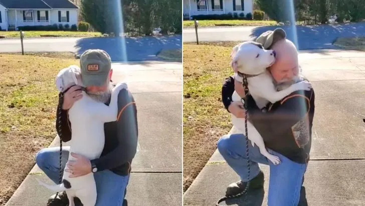 Rescued Dog Can’t Stop Hugging New Owner After Being Saved from Abuse