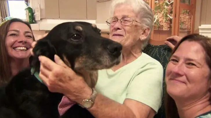 A Dog Kept Escaping the Shelter to Visit and Hang Out with Residents at a Nursing Home