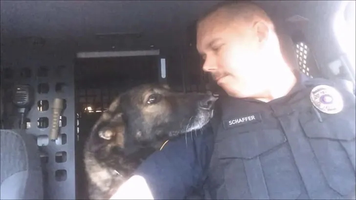 K-9 Officer Faust Honored With Final Radio Call After 8 Years of Dedicated Service