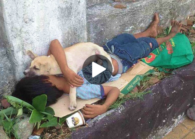 Heartwarming Stories: Abandoned Boy Discovers Unconditional Love in the Embrace of a Loyal Dog