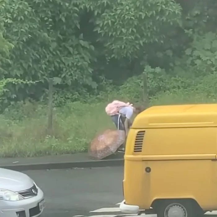 An everyday angel: a schoolgirl rescues a homeless dog, bringing renewed hope on her walk home.