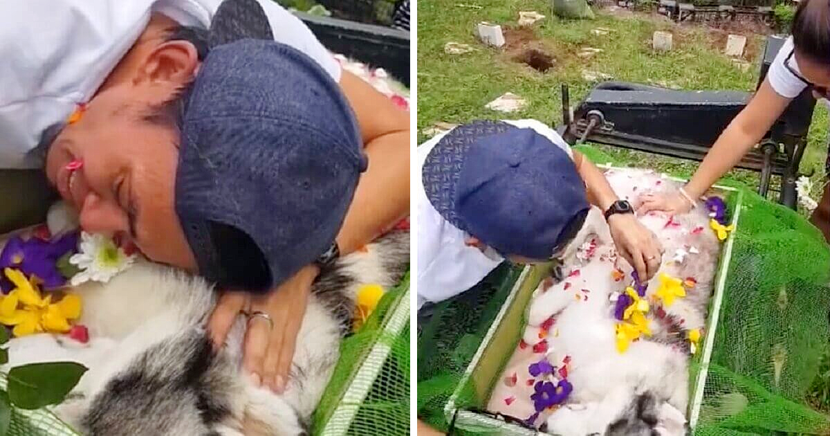 Tender Farewell: Dog owner lovingly bids goodbye to his beloved companion, affectionately calling him “his son,” highlighting their deep bond