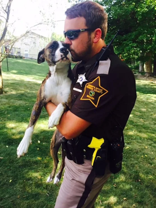 Abandoned Dog in Park Finds Forever Home with Rescuing Police Officer