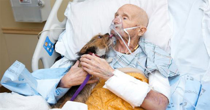 Dying Veteran in Hospice Has His Last Wish Granted: A Reunion with His Dog