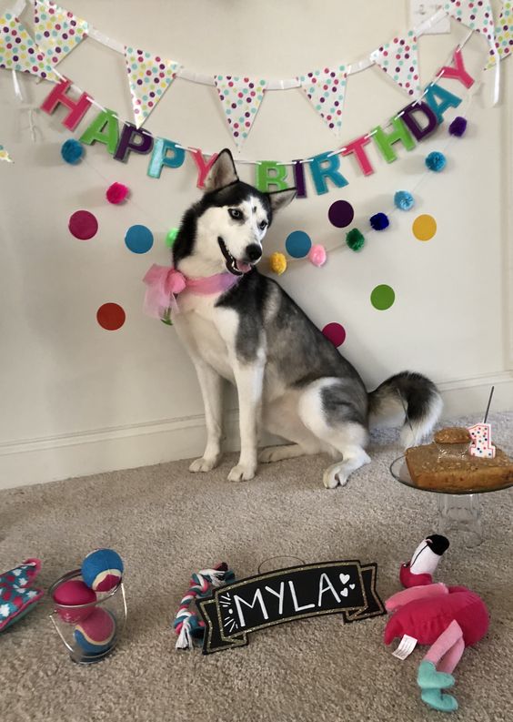 Celebrating Myla: A Birthday Fit for a Queen