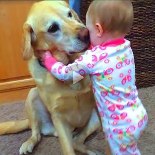 In a touching scene, a tearful 3-year-old boy finds solace in the warm embrace of his beloved dog, beautifully showcasing the profound and heartfelt bond between humans and animals.