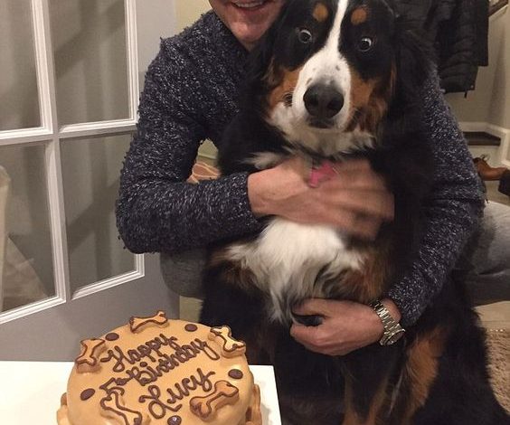 Celebrating Lucy: A Heartwarming Birthday for a Beloved Dog