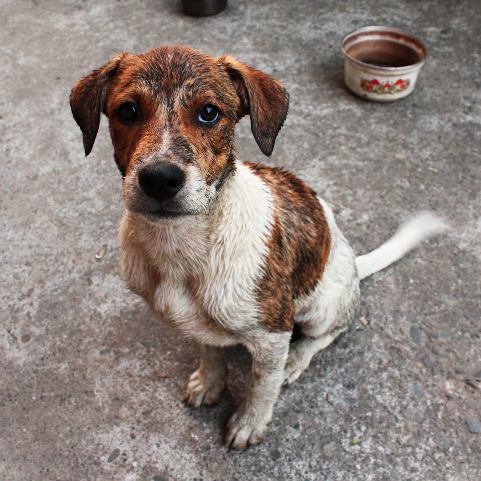 Celebrating Oliver’s First Birthday: From Rainy Beginnings to Sunny Smiles