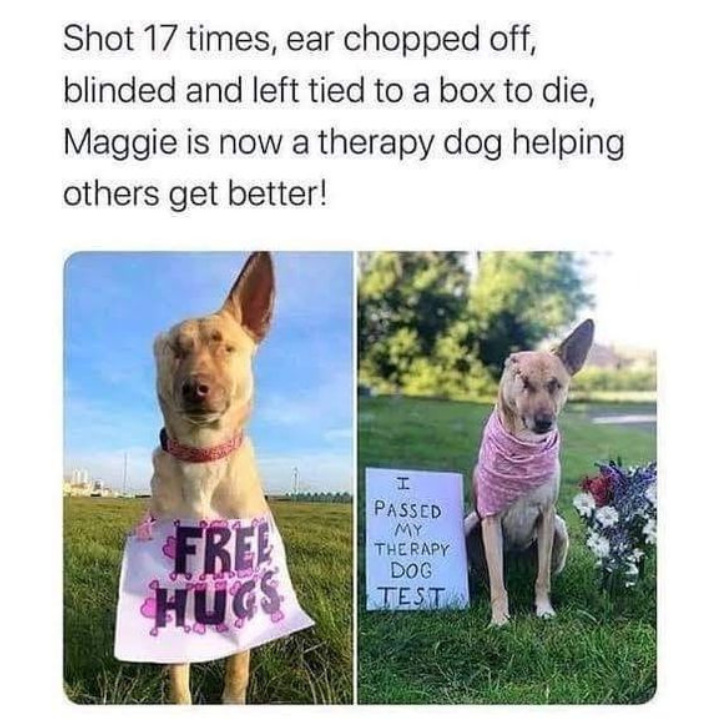 Celebrating Maggie: From Tragedy to Triumph at Age 6